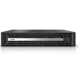 Firewall Gateway Nvidia Skyway MGA100-HS2